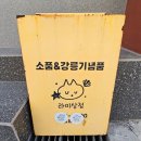 뽀짝상점 | 강릉소품샵 귀염뽀짝 무인 소품샵 '라미상점' 다녀온 후기