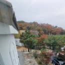 영흥도스크린골프독채펜션 이미지