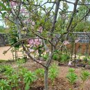 꽃향기정원 이미지