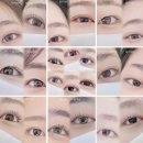 리보떼