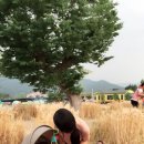 크라비앙코 이미지