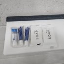 세심천 | 충남 예산 덕산온천 가족탕 대실 세심천온천호텔 후기