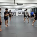 팀매드 - 강서구 명지국제8로 259 | 부산주짓수 처음이라면 팀매드장산 체험 후기