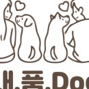 내가품은Dog