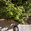 부산 가볼만한곳 부산역과 가까운 닥밭골벽화마을