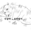 토담생고기 이미지