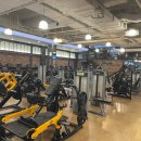 스파리스 이미지