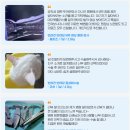 닥터펫 동물의료센터 | 용인 닥터펫 동물의료센터 강아지 MRI 영상 촬영 후기