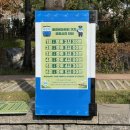 숲 | 비랑이 마을 문화제 바람길의 숲 후기