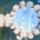 삿포로 대신 여기 간다더라" 단 2,000원에 즐기는 5km 겨울 설경 이미지