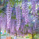 합도초등학교 이미지