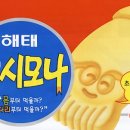 다마바(DaMaBA) 네이버블로그