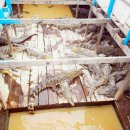 민후농장 이미지