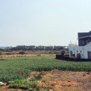 사계2248 이미지