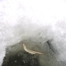 월산낚시터(월산저수지) 이미지