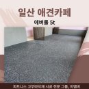 그랜드유치원 | 애견카페유치원 고무바닥매트 에버롤 시공 후기