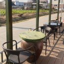 저동축산 | 강원도 잡곡으로 면을 만들어 건강한 경포대맛집 🌾🍜 / 묵면 막국수가 인상적인 저동막장 경포대묵면)