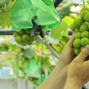 와촌식육식당 ( 경산오거리점 ) 이미지