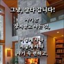 오늘도 봄 이미지