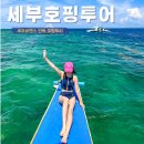 로맨스 - 경주시 나아5길 4-4 | 세부 호핑투어 프라이빗하게 즐긴 단독투어 후기 로맨스투어 반일 호핑투어