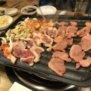 착한오리와돼지 이미지