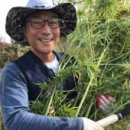 나우농장 이미지