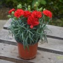 하일농장 이미지