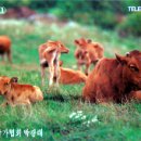 D00235 네이버블로그