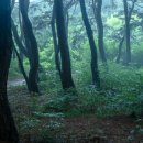 선덕여왕릉 앞
