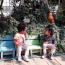 은정농원 이미지