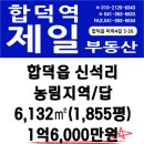 신석리 이미지