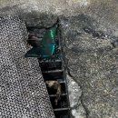 유평산방 이미지