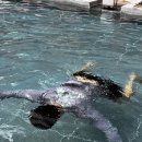 이제 경주 이미지