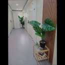 꼼배꼼하우스
