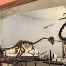 목포자연사박물관 | 목포 자연사박물관 후기 — 가족여행·아이와 함께 가볼만 한 곳 (전시·체험·꿀팁 총정리)