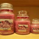 스쿱(SCOOP) 이미지