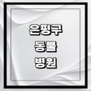 영진메디컬 | 은평구 근처 동물병원 추천 정보 | 24시간 잘하는곳 고양이 강아지 중성화 수술 애견 가격 비용 금액 후기