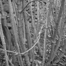 불은농장 이미지