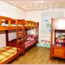 제주게스트하우스봄꽃 이미지