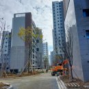 대광물산 Daum카페