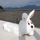 월등도 입구 이미지