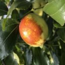 함평농장 이미지