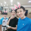 용인대 현대태권도 이미지