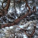 봉양마을회관 이미지