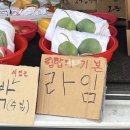 메가씨티1번가 | 더워핑