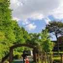 영산강대상공원2 이미지