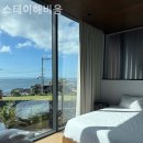스테이해요