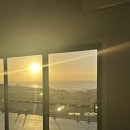 오페라주유소 | ep.5 | 물개 스노쿨링 실패, 시드니 근교 여행, Bar Beach, View Sydney, Meat District Co. 오페라하우스