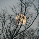 월화수목금토일에 유래 이미지