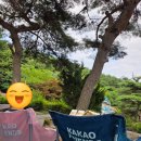 도학아영장 네이버블로그